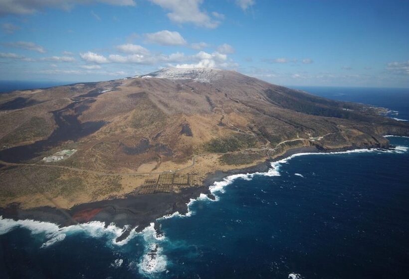 פנסיון Snapper Inn