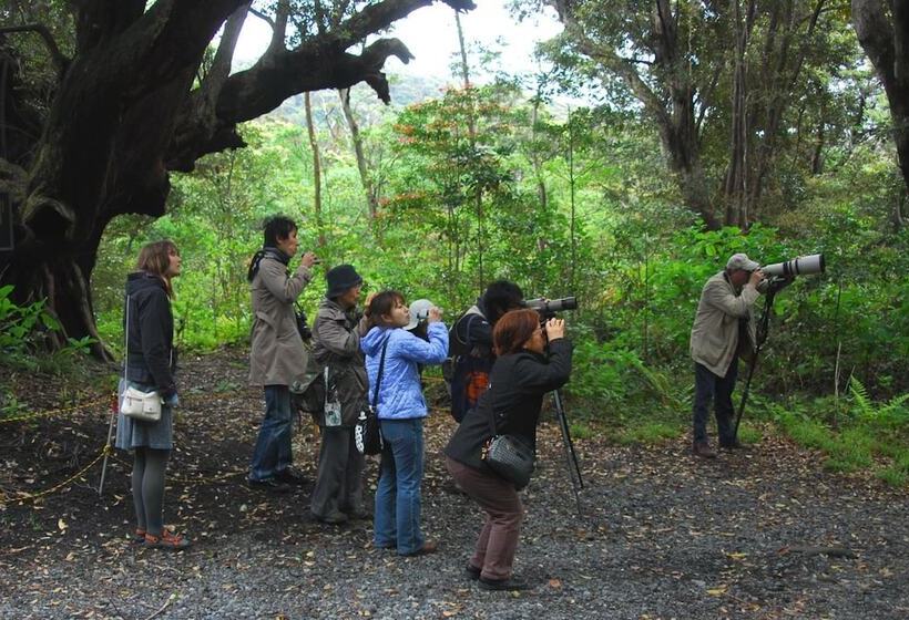 פנסיון Snapper Inn