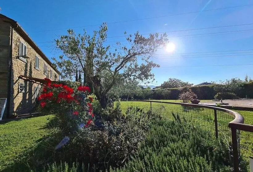 田舎風ホテル Agriturismo Il Borgo