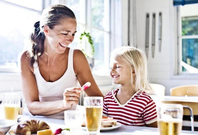 בית מלון כפרי Danhostel Silkeborg