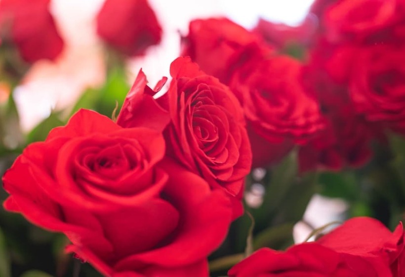 بنسيون La Spezia By The First  Luxury Rooms & Suites