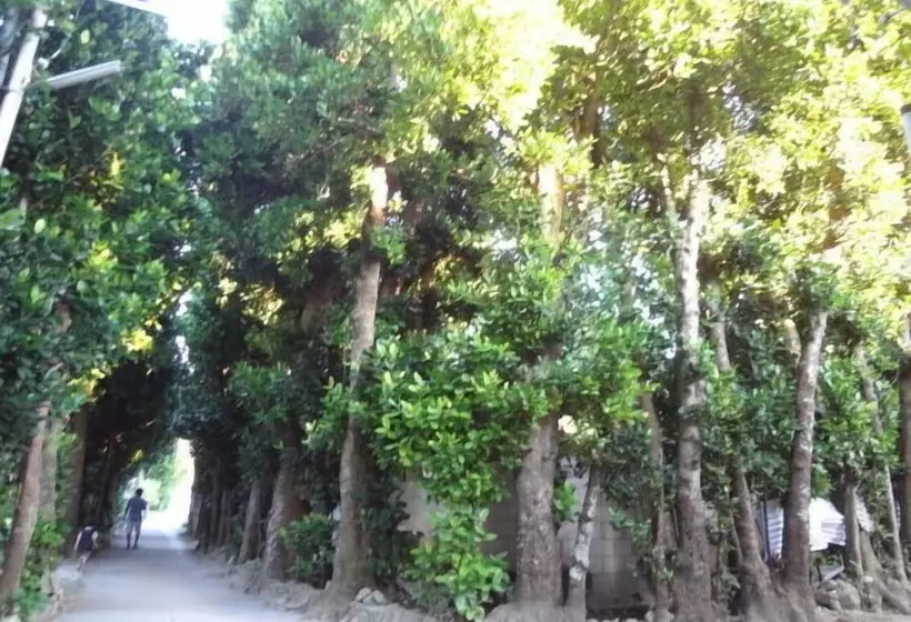Bise House