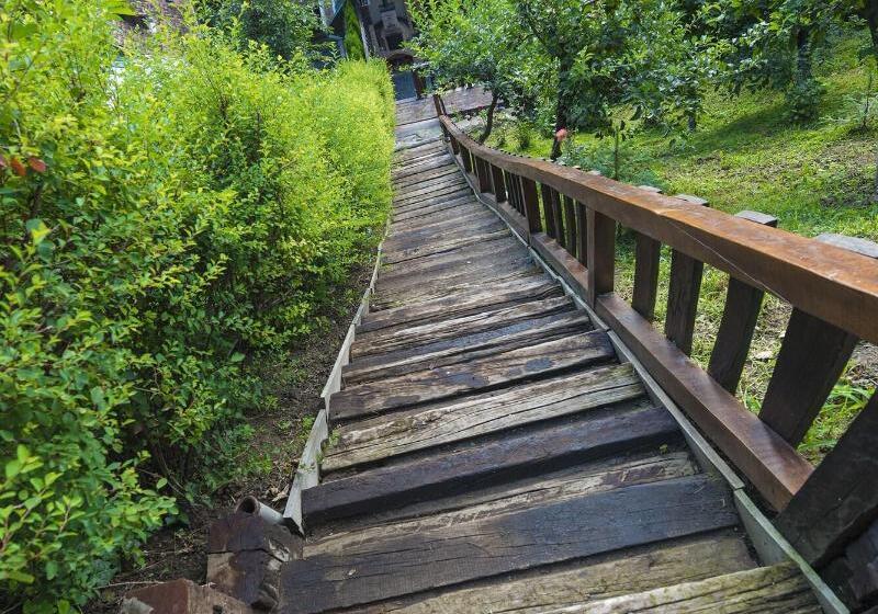 پانسیون Casa Savri