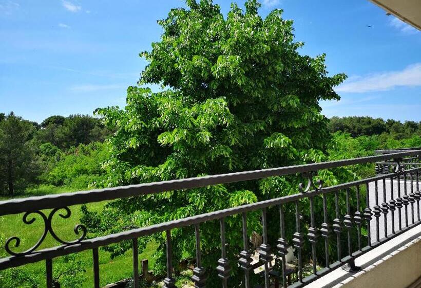 Rooms & Apartment Hegic