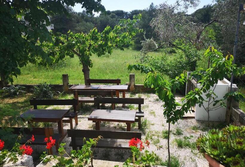 Rooms & Apartment Hegic