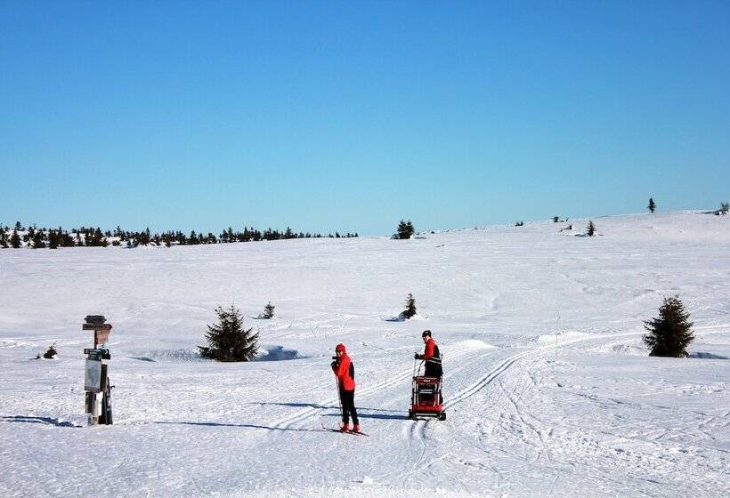 Hafjell Resort Hafjelltoppen Gaiastova
