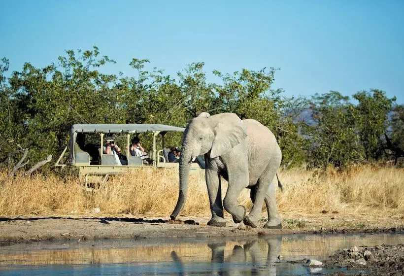 هتل Etosha Mountain Lodge