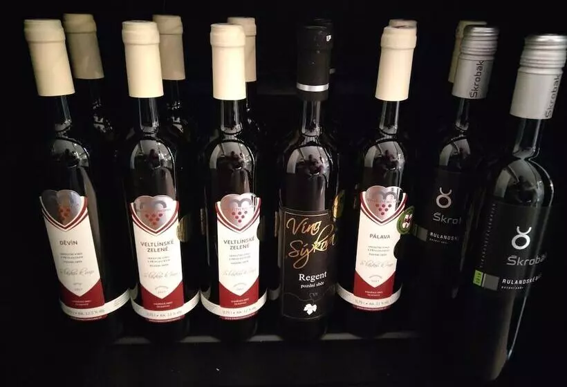 ホテル Penzion A Bistro Dílna