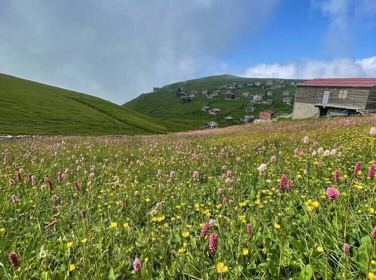 Uzungol Karester Villa Apart