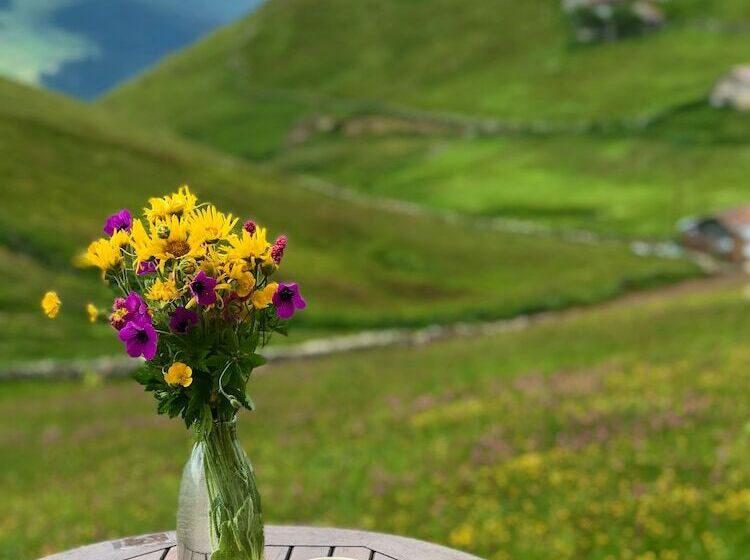 Uzungol Karester Villa Apart