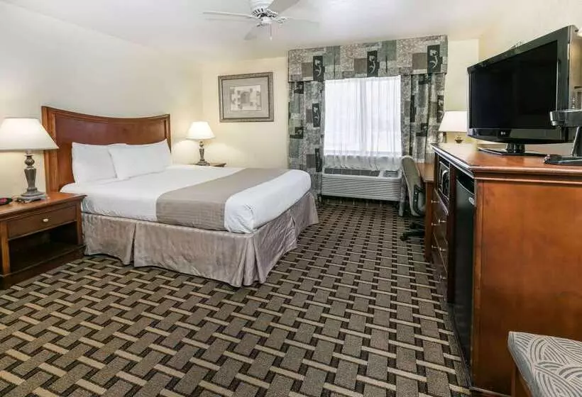 酒店 Baymont By Wyndham Arlington At Six Flags Dr