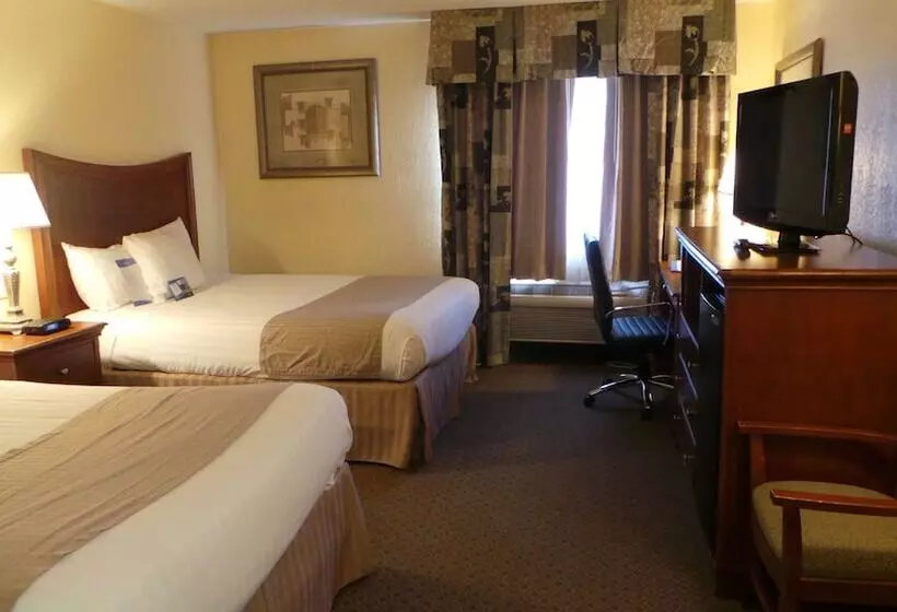 酒店 Baymont By Wyndham Arlington At Six Flags Dr