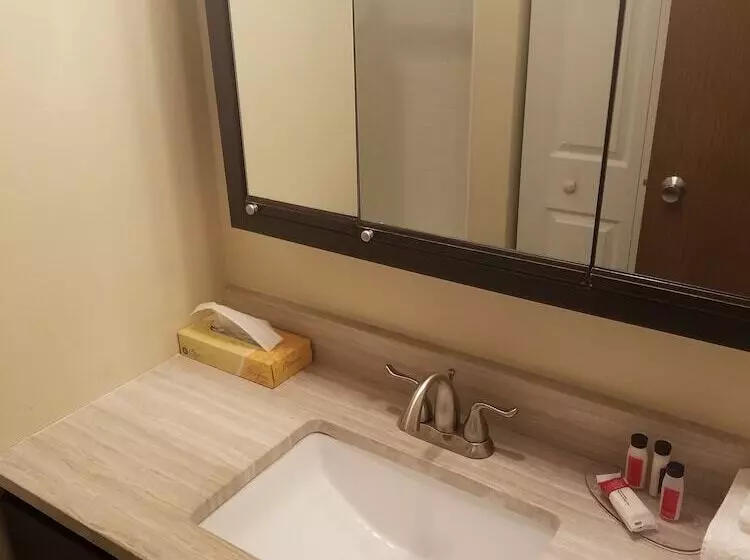 호텔 Baymont By Wyndham Chicago/alsip