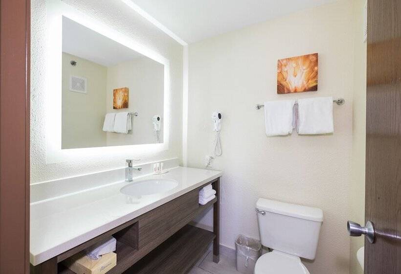 Отель Baymont By Wyndham Chicago/alsip