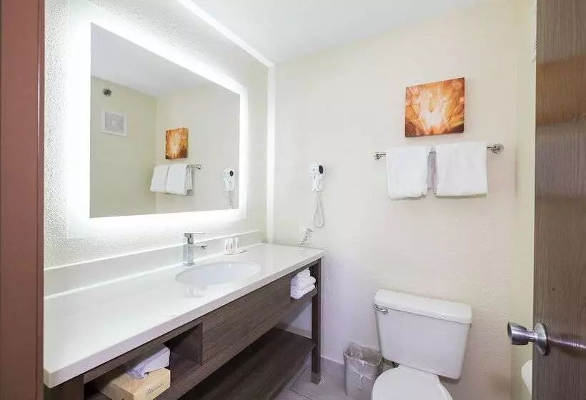 호텔 Baymont By Wyndham Chicago/alsip