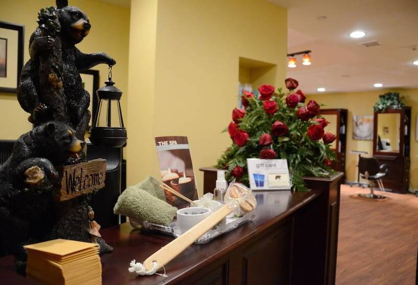 فندق Overlook Lodge And Stone Cottages At Bear Mountain