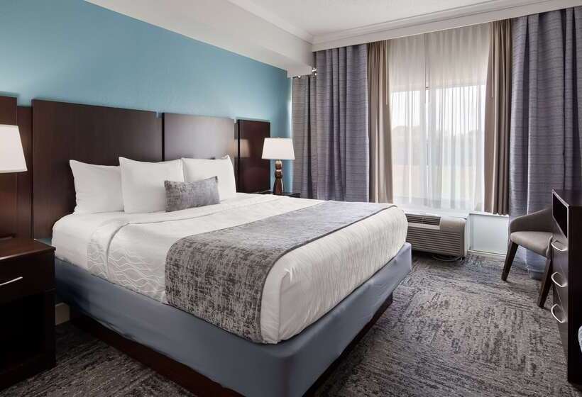 فندق Best Western Plus Ambassador Suites