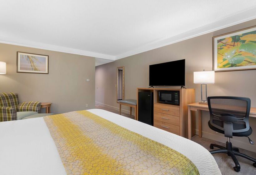 فندق Best Western Plus Executive Court Inn & Conference Center