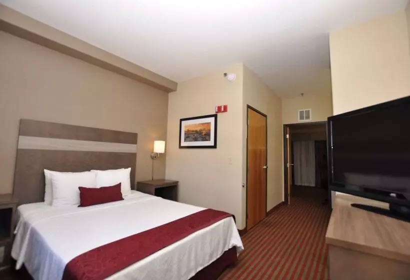בית מלון כפרי Best Western Plus Executive Suites Albuquerque