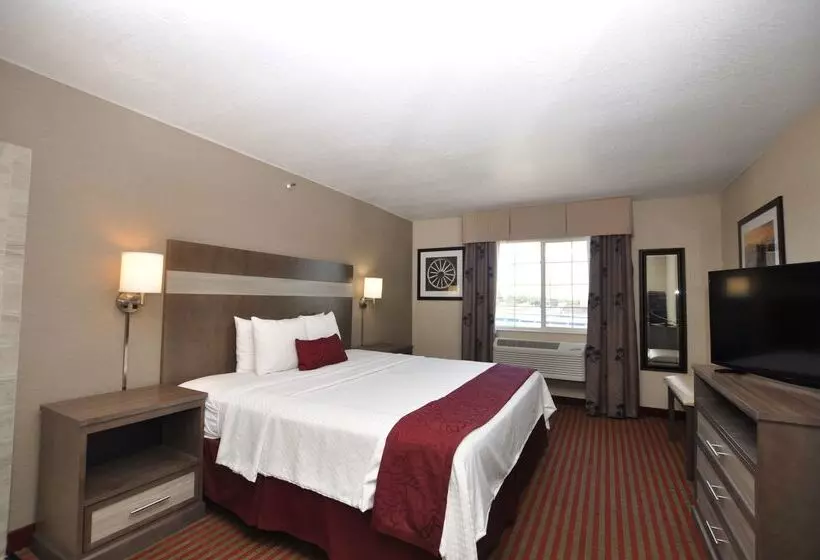 בית מלון כפרי Best Western Plus Executive Suites Albuquerque