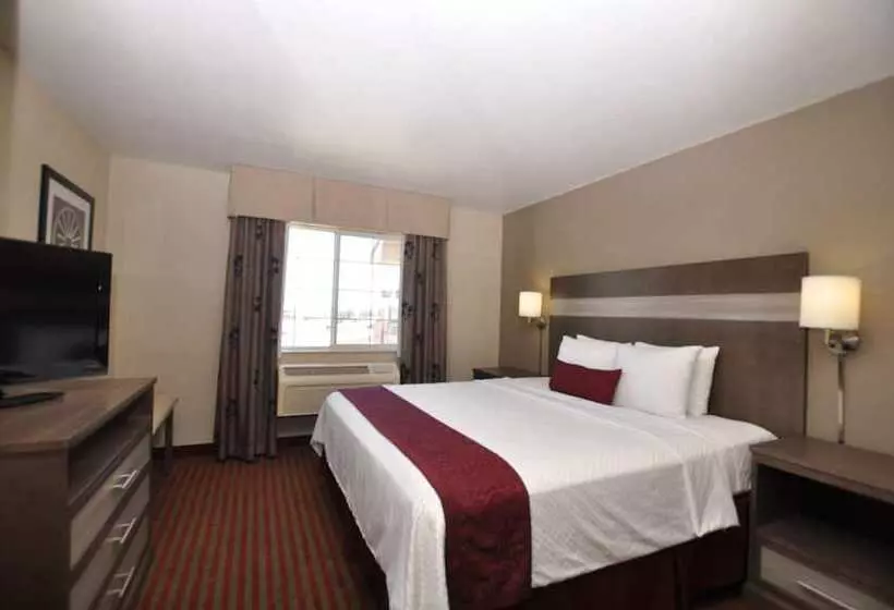 בית מלון כפרי Best Western Plus Executive Suites Albuquerque