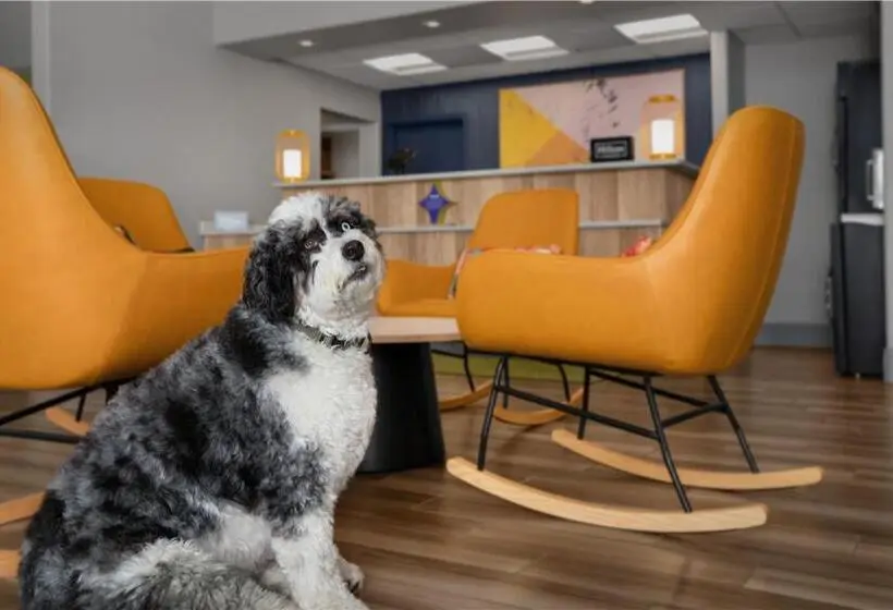 ホテル Best Western Plus Executive Suites Albuquerque