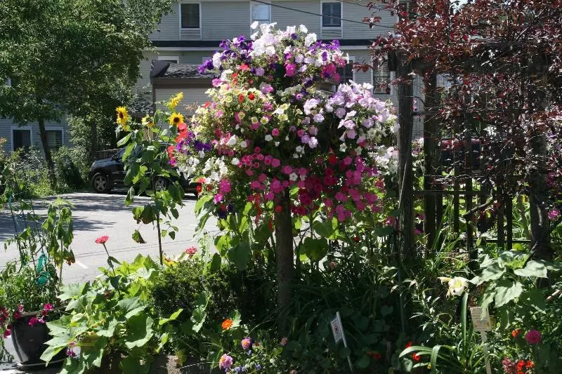 Camden Riverhouse Hotel And Inn