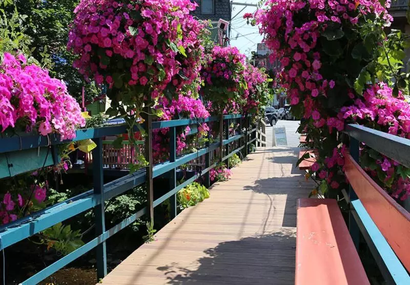 Camden Riverhouse Hotel And Inn