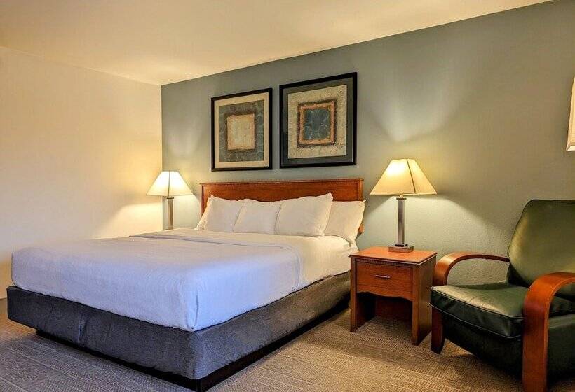 酒店 La Quinta Inn By Wyndham Chicago Willowbrook