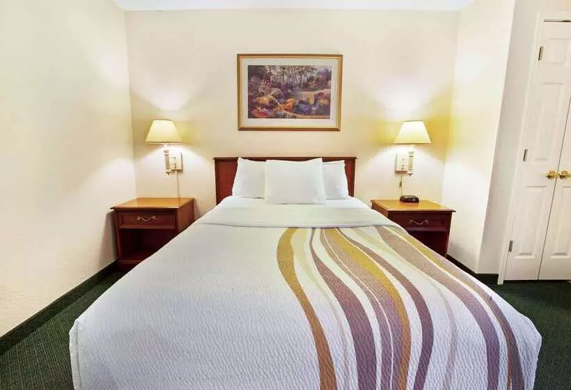 Отель La Quinta Inn By Wyndham Detroit Canton