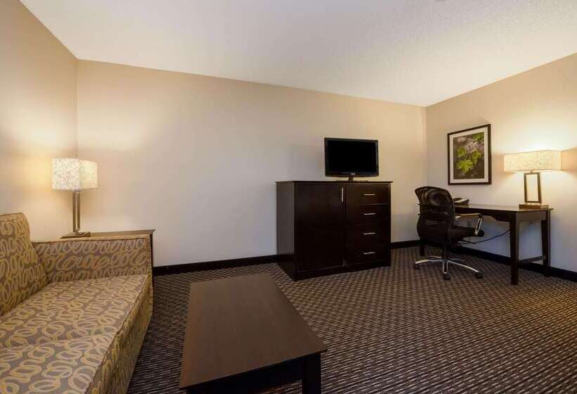 酒店 La Quinta By Wyndham Cleveland Macedonia