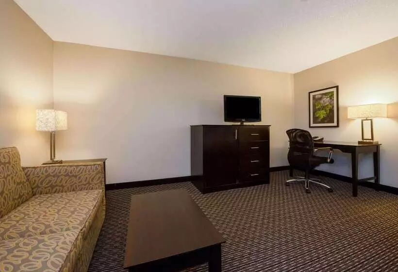 호텔 La Quinta By Wyndham Cleveland Macedonia