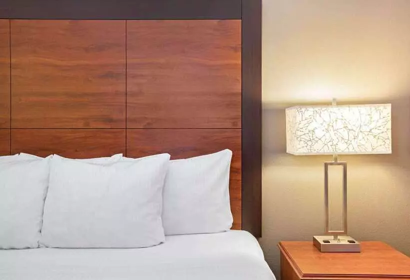 هتل La Quinta By Wyndham N Little Rock   Mccain Mall