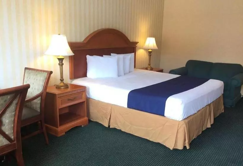 Отель Springfield Inn