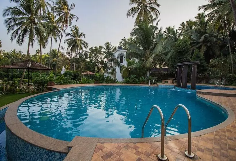 Oyo 12951 Home Pool View 1bhk Aprora