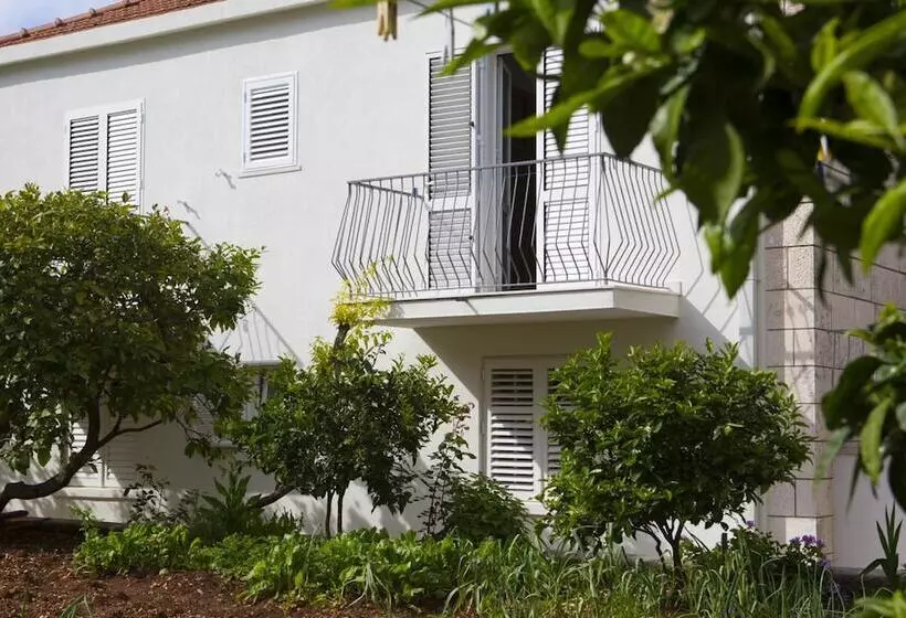 پانسیون Aida Apartments And Rooms