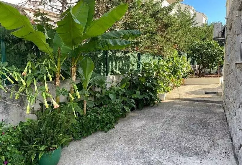 پانسیون Aida Apartments And Rooms