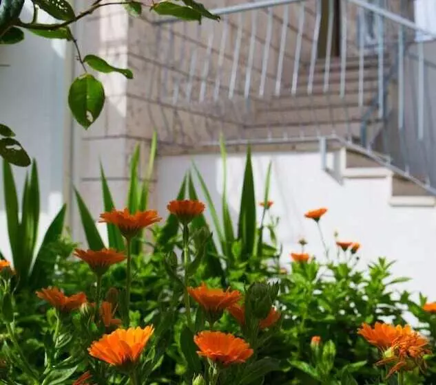 پانسیون Aida Apartments And Rooms