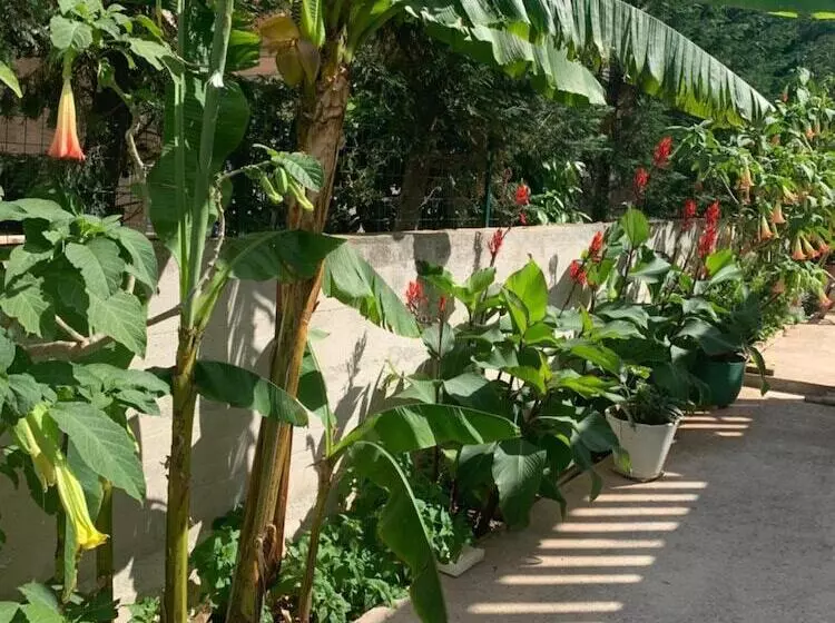 پانسیون Aida Apartments And Rooms