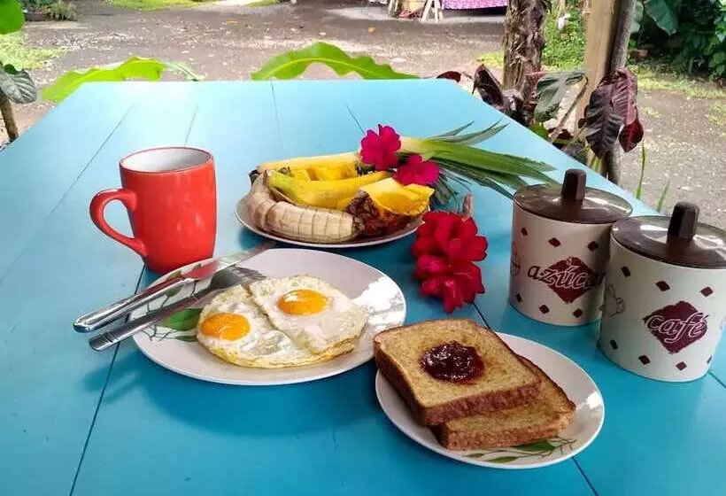Wood House Hostel