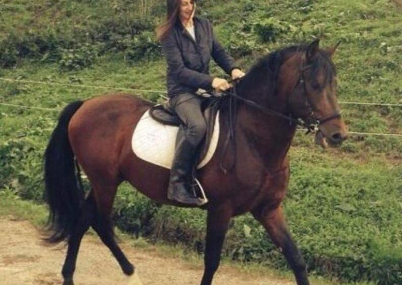 Отель Agriturismo Frantoio Valiani