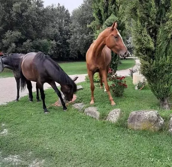 Hotel Agriturismo Frantoio Valiani