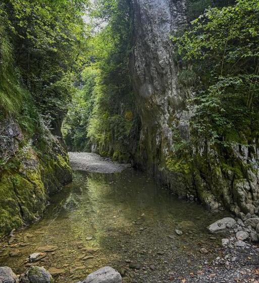 בית מלון כפרי Hôtel Restaurant Du Pont D Abense