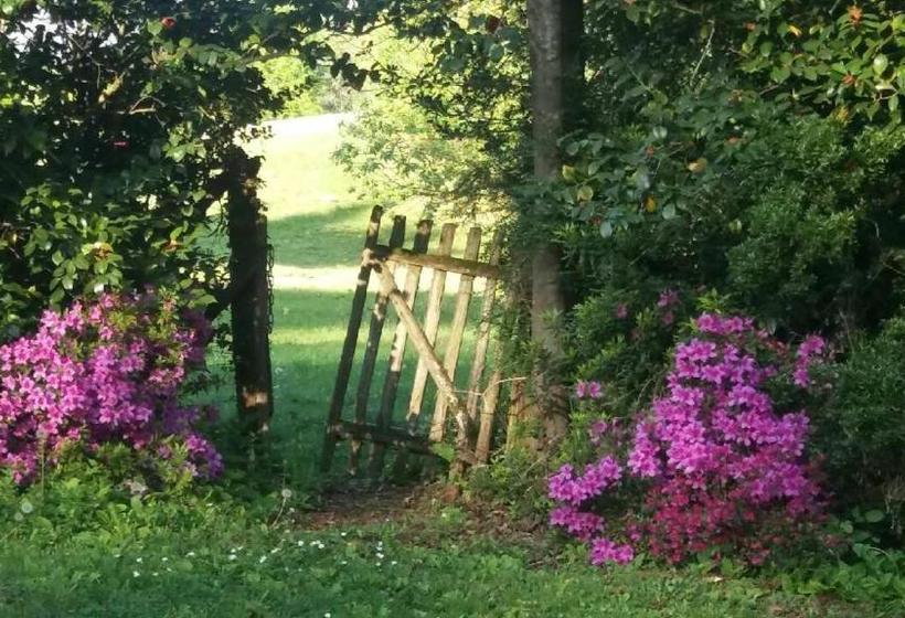 בית מלון כפרי Hôtel Restaurant Du Pont D Abense