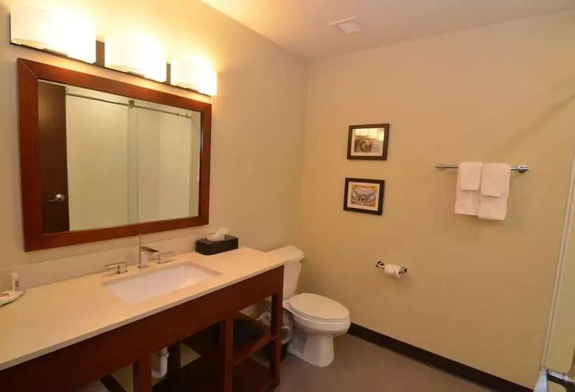 Hotelli Comfort Inn & Suites West Des Moines