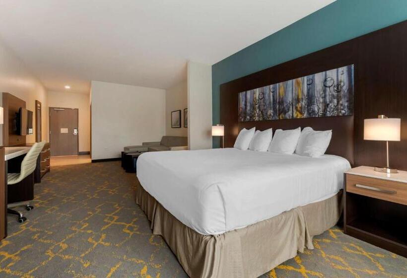 בית מלון כפרי Best Western Plus Isanti