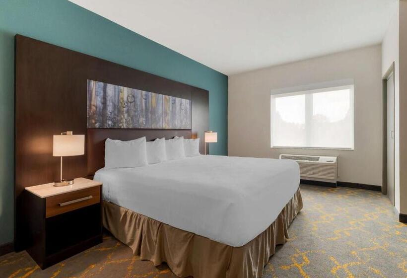 בית מלון כפרי Best Western Plus Isanti