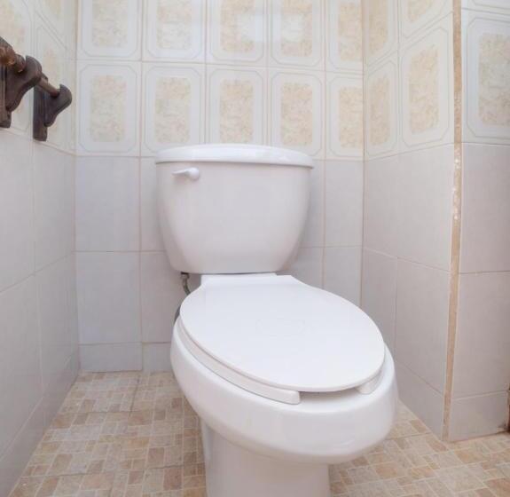 فندق Ex Hacienda El Molino