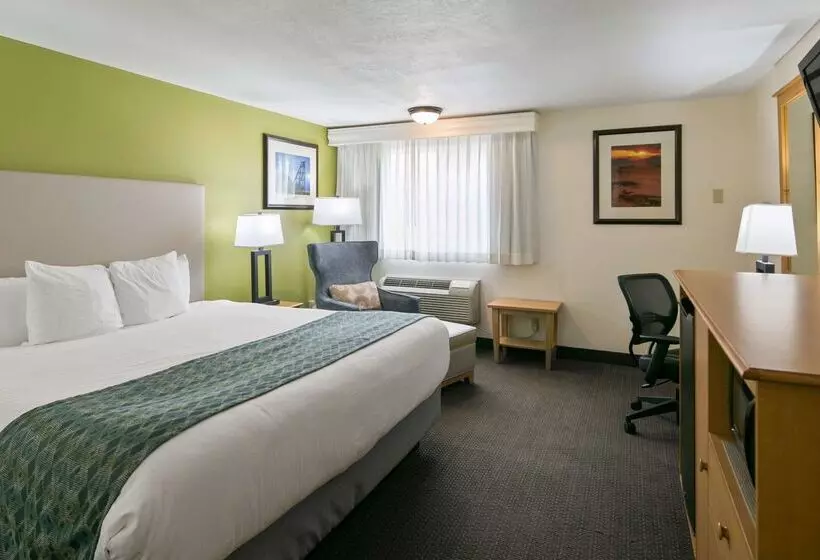 בית מלון כפרי Best Western Hidesert Inn