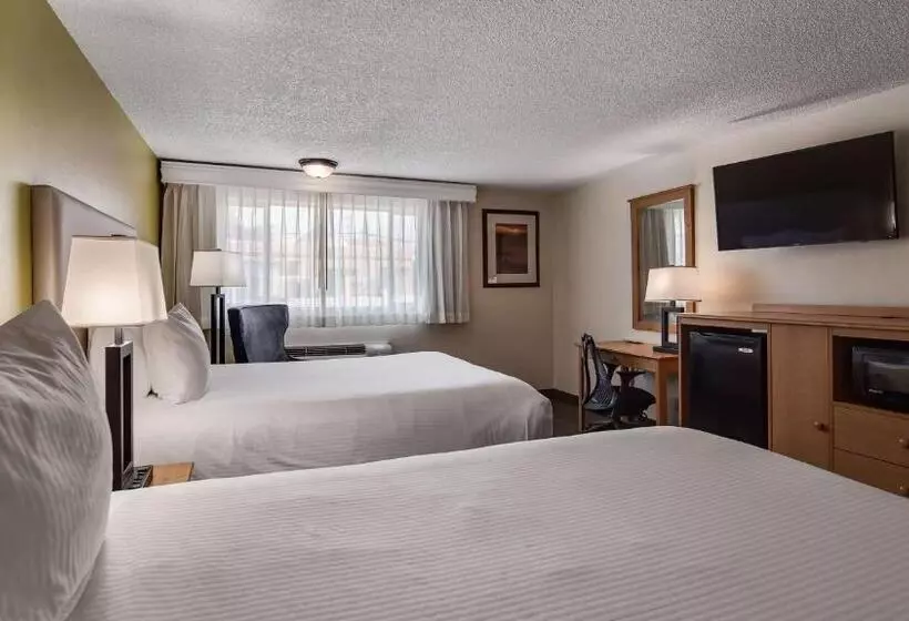 בית מלון כפרי Best Western Hidesert Inn